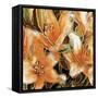 Apricot Dream II-Lane Ashfield-Framed Stretched Canvas