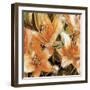 Apricot Dream II-Lane Ashfield-Framed Art Print