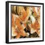 Apricot Dream II-Lane Ashfield-Framed Art Print