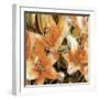 Apricot Dream II-Lane Ashfield-Framed Art Print