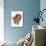 Apricot Miniature Poodle Puppy, 8 Weeks-Mark Taylor-Photographic Print displayed on a wall