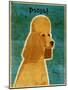 Apricot Poodle-John W Golden-Mounted Giclee Print