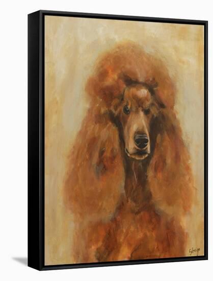 Apricot Poodle-Solveiga-Framed Stretched Canvas