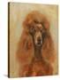 Apricot Poodle-Solveiga-Stretched Canvas