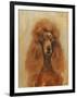 Apricot Poodle-Solveiga-Framed Giclee Print