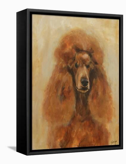Apricot Poodle-Solveiga-Framed Stretched Canvas