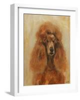 Apricot Poodle-Solveiga-Framed Giclee Print