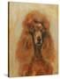 Apricot Poodle-Solveiga-Stretched Canvas