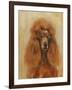 Apricot Poodle-Solveiga-Framed Giclee Print