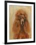 Apricot Poodle-Solveiga-Framed Giclee Print