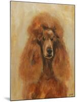 Apricot Poodle-Solveiga-Mounted Giclee Print