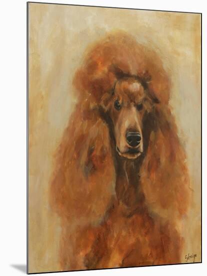 Apricot Poodle-Solveiga-Mounted Giclee Print