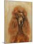 Apricot Poodle-Solveiga-Mounted Giclee Print