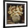 Apricot Poppies-Onan Balin-Framed Giclee Print