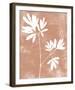 Apricot Silhouette - Bloom-Kristine Hegre-Framed Giclee Print