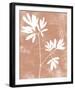 Apricot Silhouette - Bloom-Kristine Hegre-Framed Giclee Print