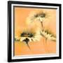 Apricot Summer I-Elena Filatov-Framed Art Print