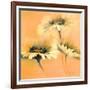 Apricot Summer I-Elena Filatov-Framed Art Print