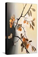 Apricot Tree Branch I-Lea Faucher-Stretched Canvas