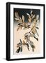 Apricot Tree Branch II-Lea Faucher-Framed Art Print