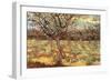 Apricot Trees in Blossom-Vincent van Gogh-Framed Art Print