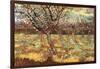 Apricot Trees in Blossom-Vincent van Gogh-Framed Art Print