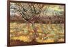 Apricot Trees in Blossom-Vincent van Gogh-Framed Art Print