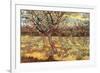 Apricot Trees in Blossom-Vincent van Gogh-Framed Premium Giclee Print