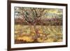 Apricot Trees in Blossom-Vincent van Gogh-Framed Premium Giclee Print