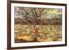 Apricot Trees in Blossom-Vincent van Gogh-Framed Premium Giclee Print