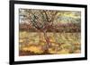 Apricot Trees in Blossom-Vincent van Gogh-Framed Premium Giclee Print