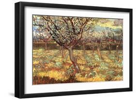 Apricot Trees In Blossom-Vincent van Gogh-Framed Art Print