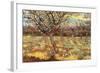 Apricot Trees In Blossom-Vincent van Gogh-Framed Art Print