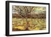 Apricot Trees In Blossom-Vincent van Gogh-Framed Premium Giclee Print