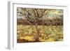 Apricot Trees In Blossom-Vincent van Gogh-Framed Premium Giclee Print