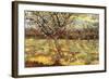 Apricot Trees In Blossom-Vincent van Gogh-Framed Art Print