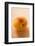 Apricot with Drops of Water-Foodcollection-Framed Photographic Print