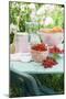 Apricots, Berries and Jam Jars on Garden Table-Eising Studio - Food Photo and Video-Mounted Photographic Print