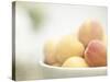 Apricots in a White Bowl Still Life-Steve Lupton-Stretched Canvas