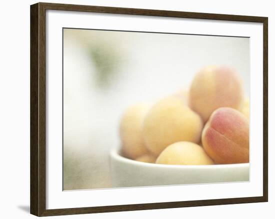 Apricots in a White Bowl Still Life-Steve Lupton-Framed Photographic Print