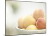 Apricots in a White Bowl Still Life-Steve Lupton-Mounted Photographic Print