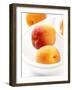 Apricots in a White Bowl-Joff Lee-Framed Photographic Print