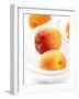 Apricots in a White Bowl-Joff Lee-Framed Photographic Print