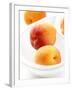 Apricots in a White Bowl-Joff Lee-Framed Photographic Print