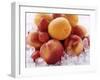 Apricots, Nectarines and Strawberries on Crushed Ice-Foodcollection-Framed Photographic Print