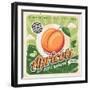 Apricots Vintage Poster Design-lukeruk-Framed Photographic Print