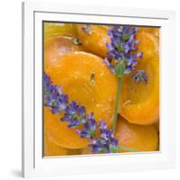 Apricots with Lavender, Detail-C. Nidhoff-Lang-Framed Photographic Print