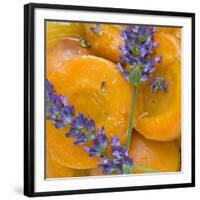 Apricots with Lavender, Detail-C. Nidhoff-Lang-Framed Photographic Print