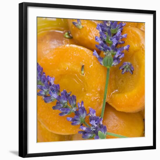 Apricots with Lavender, Detail-C. Nidhoff-Lang-Framed Photographic Print