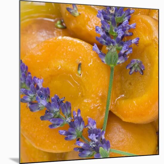 Apricots with Lavender, Detail-C. Nidhoff-Lang-Mounted Photographic Print